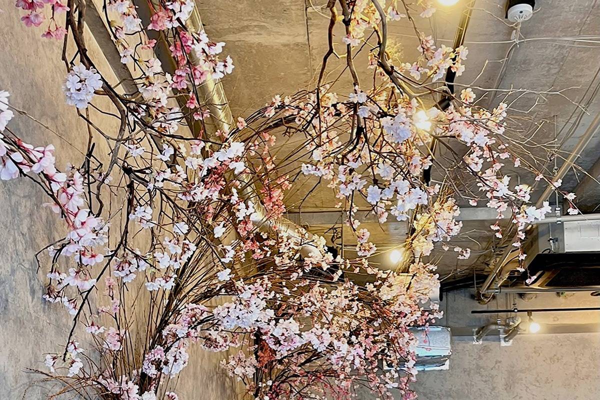 桜のディスプレイ柳ミックス♪シックでおしゃれな桜の和風アートでフォトスタジオをかっこ良く華やかに演出してみませんか？？