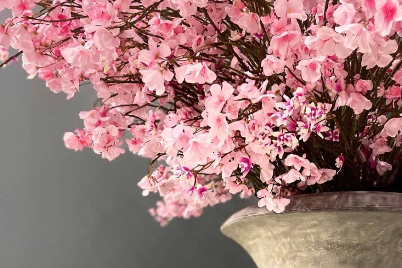 春の花装飾はやはり桜が良いですね♪フォトスタジオに限らず、どんな空間でも相性が良く、おしゃれな鉢物の桜ディスプレイはいかがでしょうか？